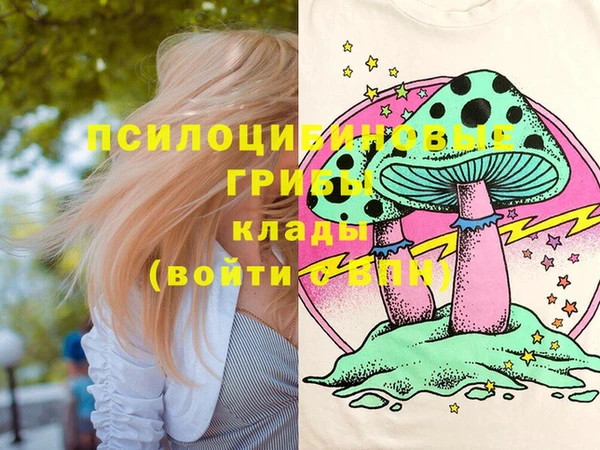 амф Абаза